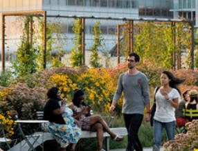 健康城市景觀，促進社會公共健康發展