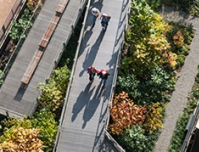 干貨｜屋頂花園營造大全
