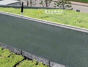 老舊小區改造中，立體綠化景觀提升要點