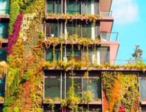 立體綠化未來發展趨勢解析