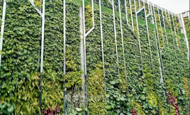 屋頂垂直綠化案例