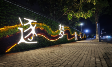 項(xiàng)目夜景展示