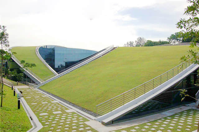 新加坡南洋理工大學 (1).jpg