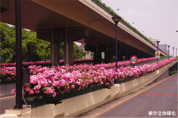 16杭州上塘高架橋綠化.jpg