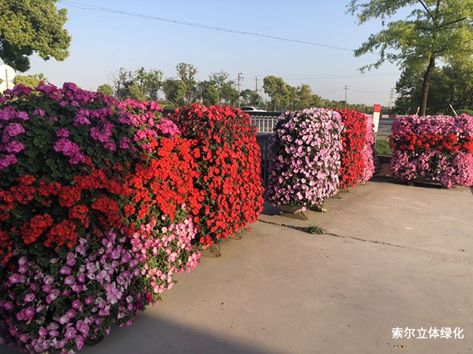 2020世界花園大會(huì)41花墻.jpg