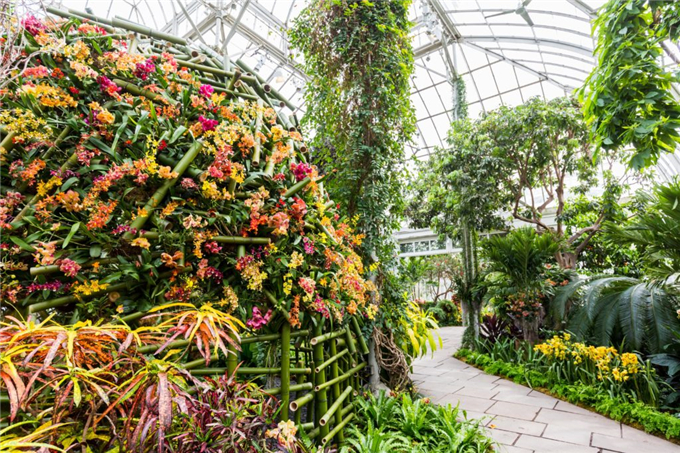 生態餐廳溫室花園 (16).jpg