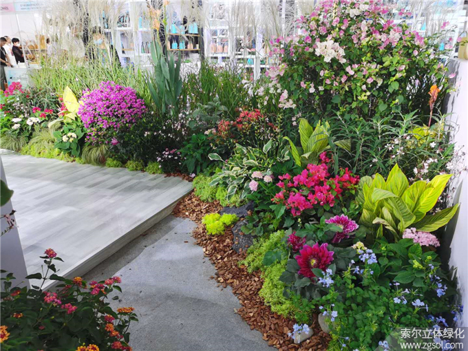 第二十二屆中國(guó)國(guó)際花卉園藝展-索爾 (4).jpg