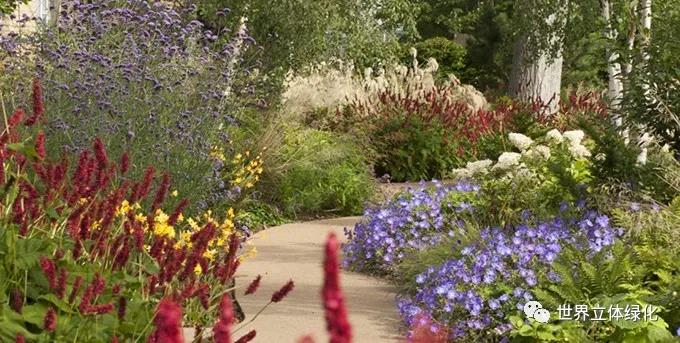 23格拉斯哥伊麗莎白女王大學(xué)醫(yī)院伊麗莎白女王國(guó)家脊柱傷害科花園 (8).jpg