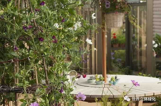 33格拉斯哥伊麗莎白女王大學(xué)醫(yī)院伊麗莎白女王國(guó)家脊柱傷害科花園 (4).jpg