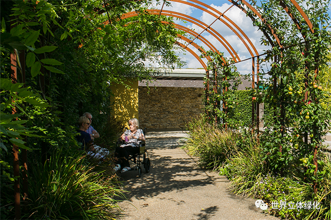 05索爾茲伯里醫(yī)院康沃爾公爵脊柱治療中心花園01 (4).png