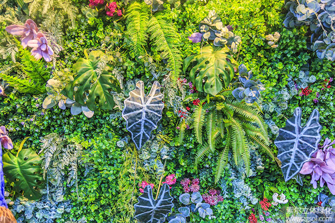 11室內植物墻.jpg