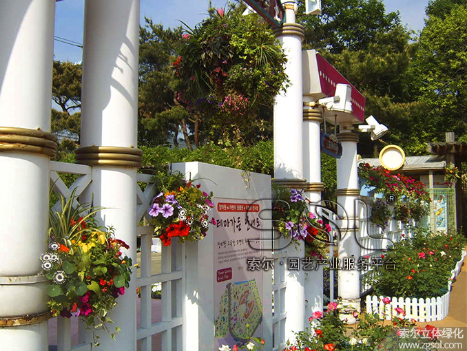 12 護欄綠化 (3).jpg