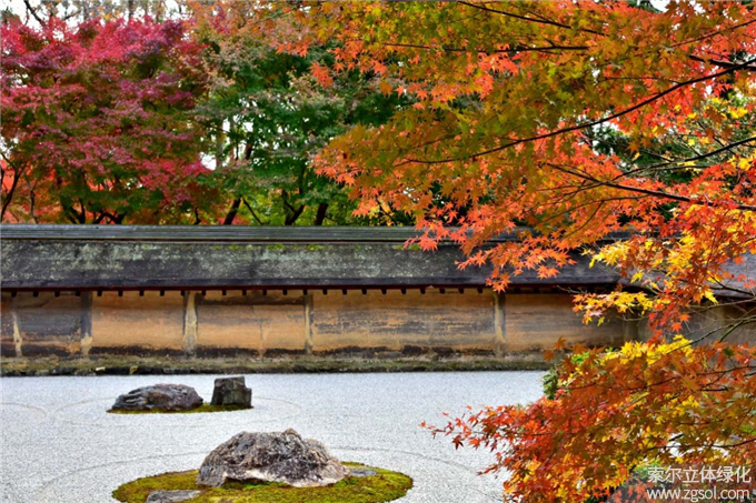 42日式庭院-龍安寺01 (2).jpg