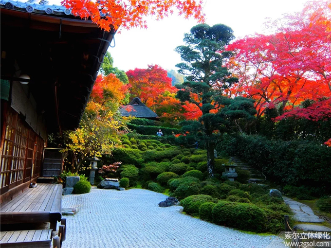 53日式庭院-金佛寺 (8).jpg